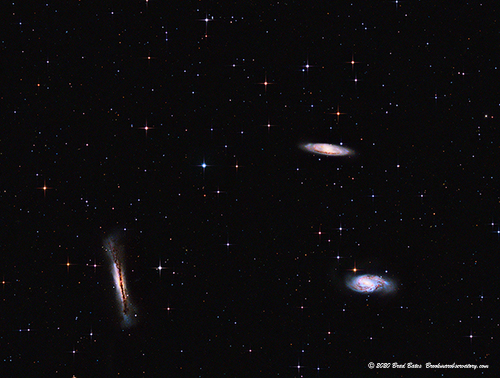 Leo Trio